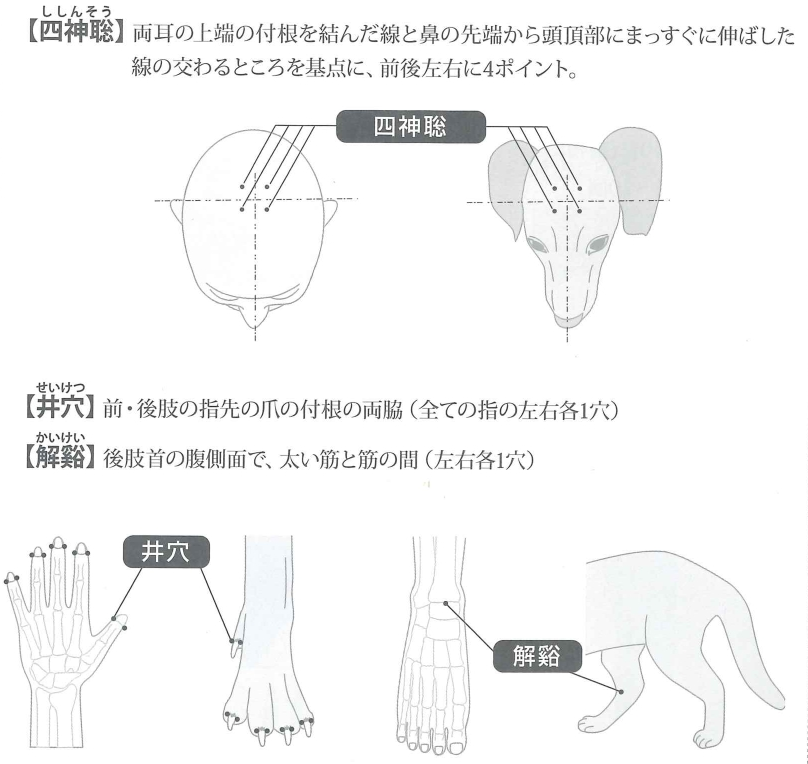 元気アップに効果的なツボの位置