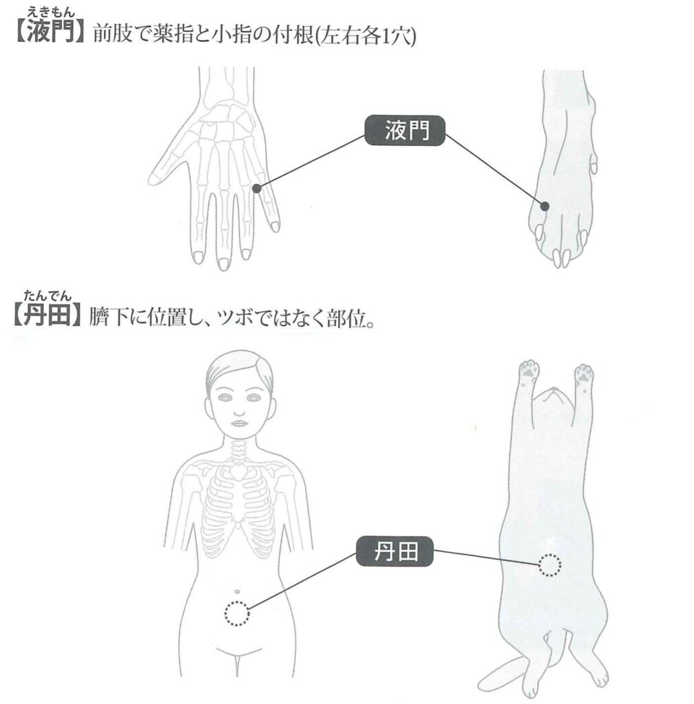 液門・丹田の場所