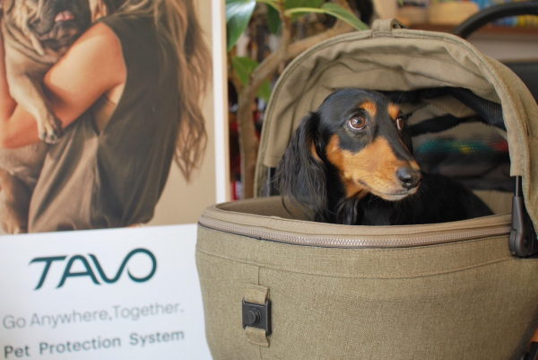 商品紹介！！【TAVO】ペットカート 街でも車でも、うちの子が主役